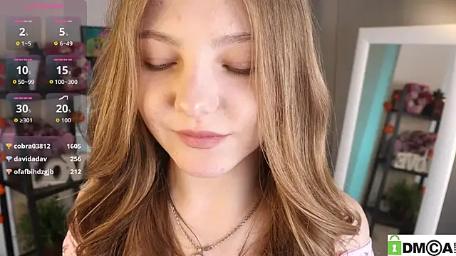 Sue_Sandersn Webbikameraesitys