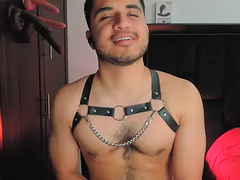 Philip_Reid_ Webcam show