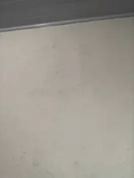 Chatroom XXX en direct de casalnovo8