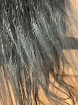 Czat XXX na żywo – BrigitteVons