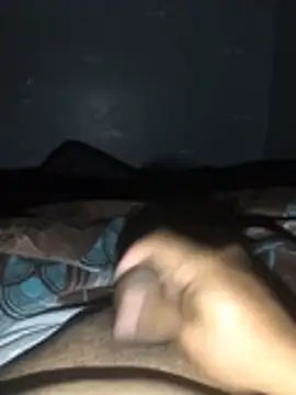 Show de webcam de InstantPigweed