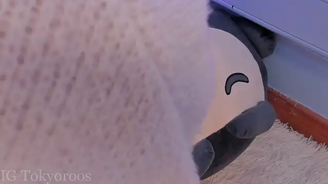 TokyoHaskel: онлайн-секс-чат