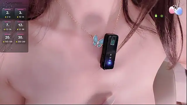 Show Webcam de Marui-