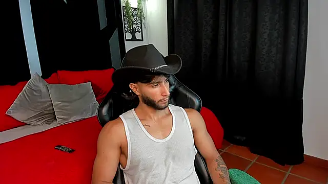 โชว์เว  ็บแคมของ Emmet_CollinsJS