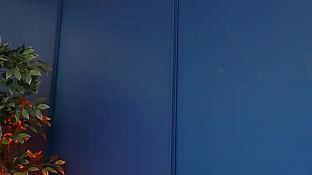 DeeaVIP élő XXX-chatje