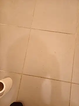 totolescientifique webkamerás műsora