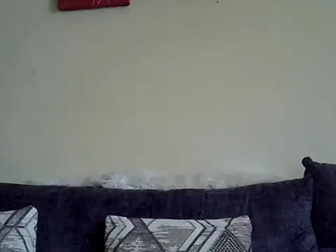 Delicious-Dのウェブカメラショー