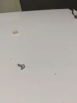 Show de tengebongaz na webcam