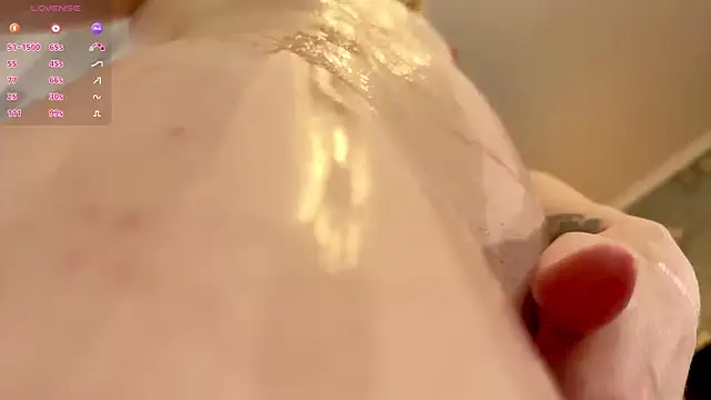 GlaydsLeveton Webbikameraesitys