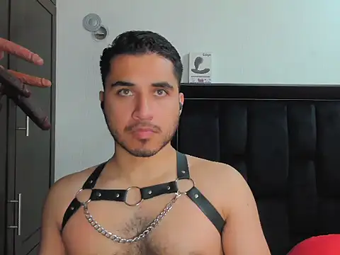 Philip_Reid_n Webbikameraesitys