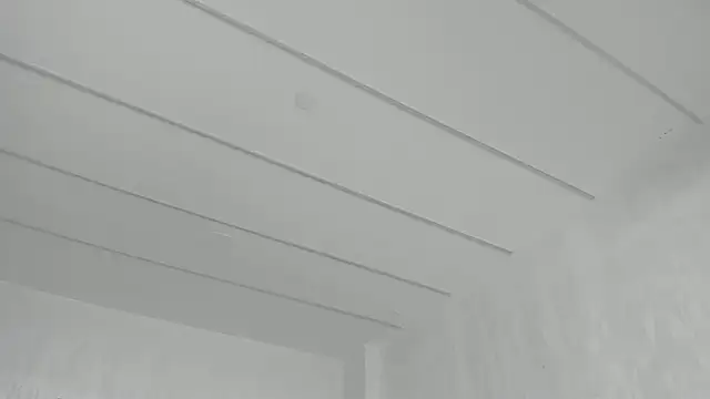 TiffanyHouston_ 在線直播表演