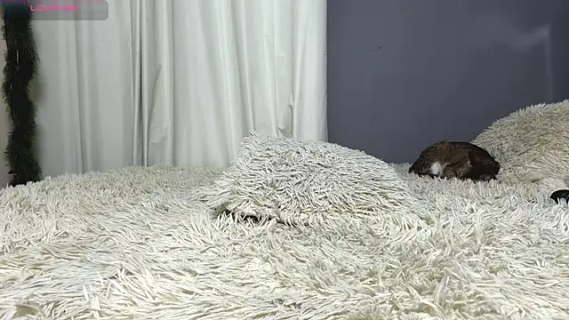 Czat XXX na żywo – Tomoe_b