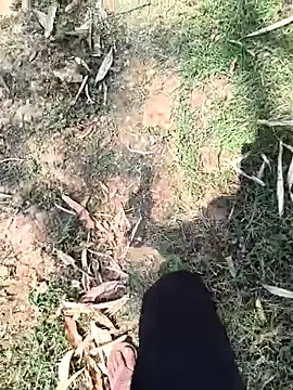 rajdehli Webcam show