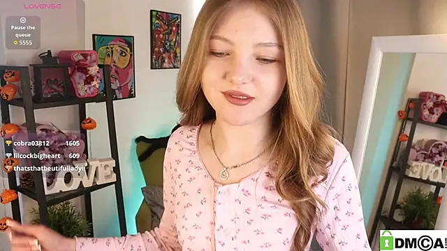 Sue_Sandersn Webbikameraesitys