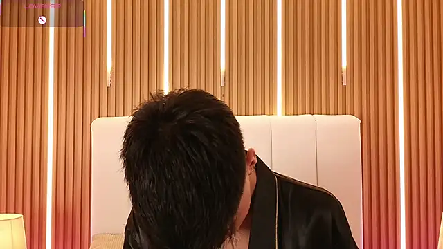 Dulcey_ 网络视讯表演