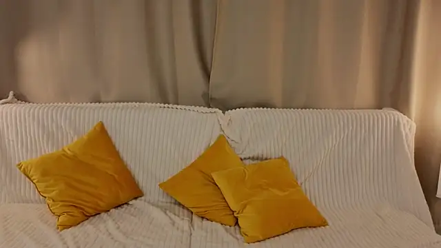 CythiaFelmetn Webbikameraesitys