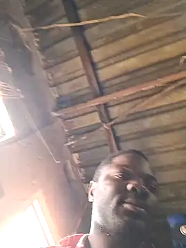 Petrossa 网络视讯表演