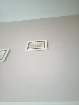 Show webcam de NiceBadgera