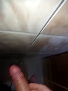 Felipe_22cmn Webbikameraesitys