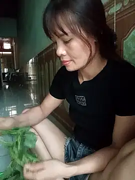 aiai220 网络视讯表演