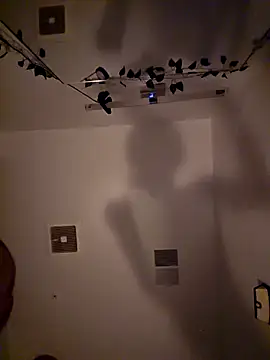 Show Webcam de rawanduncut4u