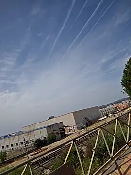 bellapaty: διαδικτυακό σόου στην κάμερα