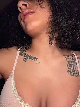 FerrariFrenchn Webbikameraesitys