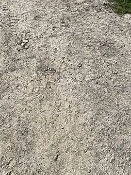 aras__25 – Kamerová šou