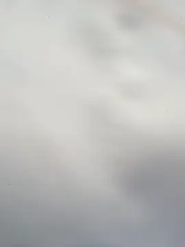 yin202601 웹캠 쇼