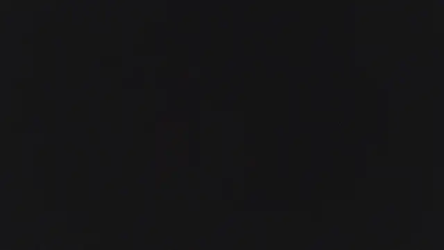 Show modela pandoravg na web-kameri