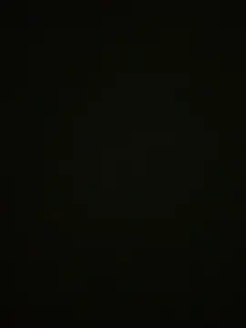 Show webcam de Ce3003