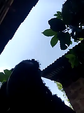 holygrail001n Webbikameraesitys