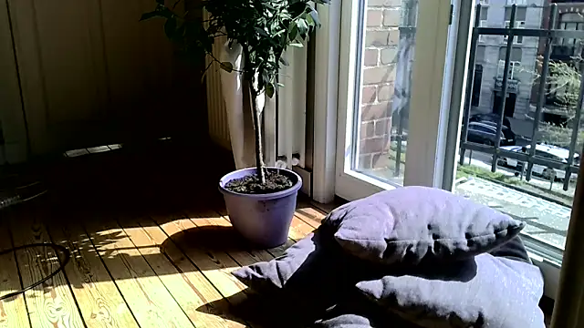 LeDukx: διαδικτυακό σόου στην κάμερα