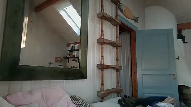 Stock-Holmes Webcam Show