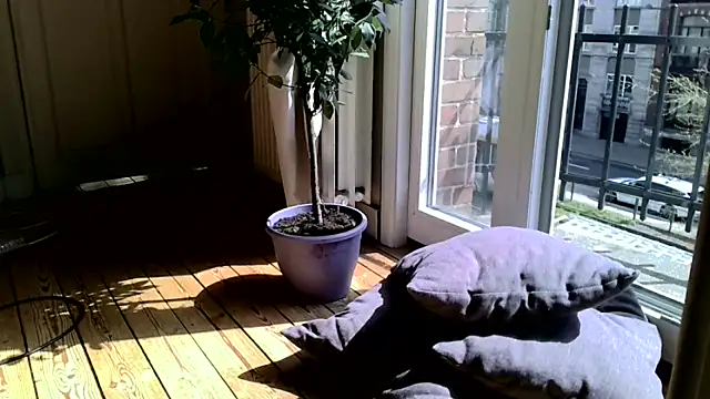 عرض كام LeDukx