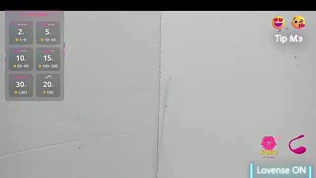 Show Webcam de saraladys