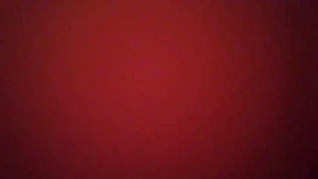 Show webcam de Edu7911