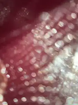 Webkamerová show ALANNFERRER