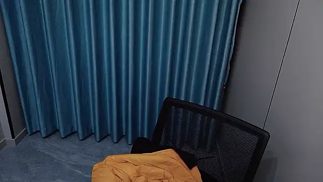 Show de webcam de w5206t