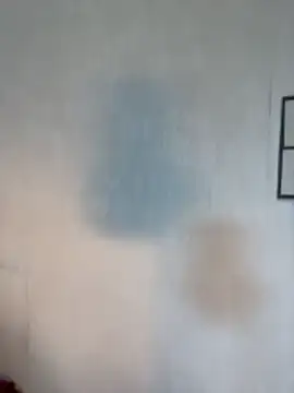 BlueVelvetBat live XXX chat