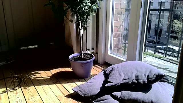 LeDukx Live XXX Chat