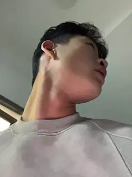 NV-1 网络视讯表演