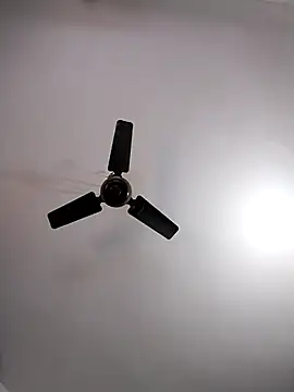 Falguni45454 Show in webcam