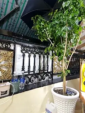 lyna_bl's Webcam Show