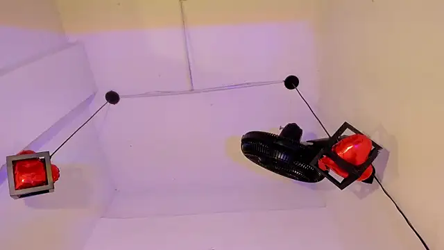 criss_zuriのウェブカメラショー