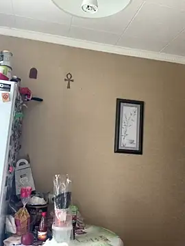 Frosl 网络视讯表演