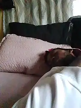 Gold_Digger86 现场XXX聊天