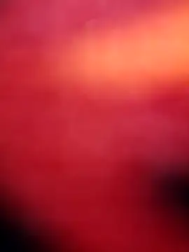 Nandani-758's Live XXX Chat