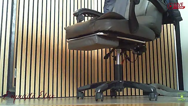 exquisite_elise 网络视讯表演