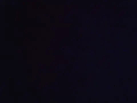 zandyplus 即時 XXX 聊天